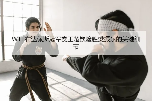 WTT布达佩斯冠军赛王楚钦险胜樊振东的关键细节